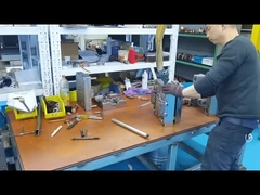 Doppelfarbiger Schimmel