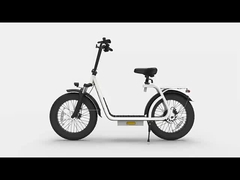 Customizable 20 Inch Electric Bicycle with CNC/3D Printing Parts