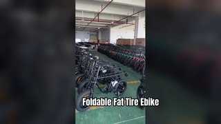 E-bike1