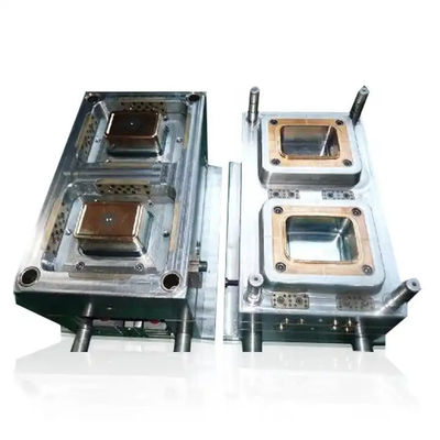 Multi Cavity Plastics Injection Mold With H13