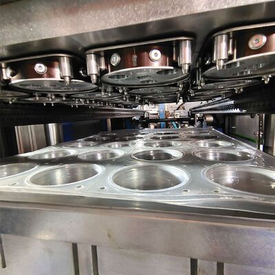 Customized Thermoforming Plastic Mold Supplier for Producing Disposable Plastic Cups and Lid, Eggs Box, Fruit Box, Cake Box, Meal Box